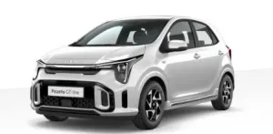 Kia Picanto Vision 1.0 Automatik,klima,Navi,Kamera