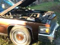 Other Cadillac Fleetwood Brougham, 1977, neu Tüv...
