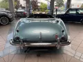 Austin Healey 100 / 6  BN4L