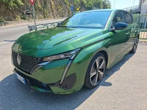 Other Peugeot 308 GT LINE 53000KM / TAGLIANDI CERTIFIC