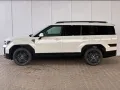 Hyundai Santa fe PHEV Black Line 4WD 6-Sitzer / 4x Shz +