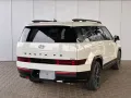Hyundai Santa fe PHEV Black Line 4WD 6-Sitzer / 4x Shz +