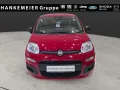 Fiat Panda Pandina ICON Hybrid RED 1.0 GSE-Klima*Blue