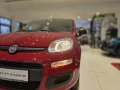 Fiat Panda Pandina ICON Hybrid RED 1.0 GSE-Klima*Blue