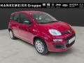 Fiat Panda Pandina ICON Hybrid RED 1.0 GSE-Klima*Blue