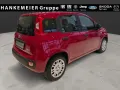 Fiat Panda Pandina ICON Hybrid RED 1.0 GSE-Klima*Blue