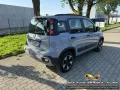 Fiat FIAT Panda 1.0 FireFly S&S Hybrid City Cross,