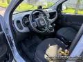 Fiat FIAT Panda 1.0 FireFly S&S Hybrid City Cross,