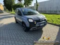 Fiat FIAT Panda 1.0 FireFly S&S Hybrid City Cross,
