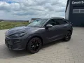 Cupra Terramar VZ 2.0 TSI DSG+STANDHEIZUNG+AHK+PANO