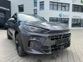 Cupra Terramar VZ 2.0 TSI DSG+STANDHEIZUNG+AHK+PANO