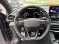 Cupra Terramar VZ 2.0 TSI DSG+STANDHEIZUNG+AHK+PANO