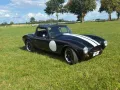 Other Cobra Cabrio Replica (Pilgrim) Roadster