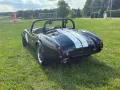 Other Cobra Cabrio Replica (Pilgrim) Roadster