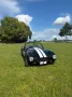 Other Cobra Cabrio Replica (Pilgrim) Roadster