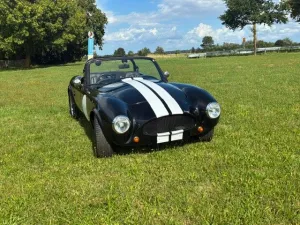 Other Cobra Cabrio Replica (Pilgrim) Roadster