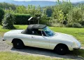 Alfa Romeo 1600 Spider Junior + 2 Liter Um...
