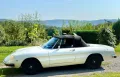Alfa Romeo 1600 Spider Junior + 2 Liter Um...