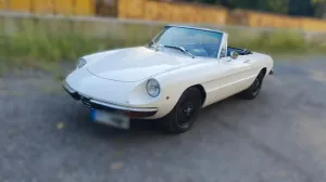 Alfa Romeo 1600 Spider Junior + 2 Liter Um...