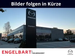 Mazda CX-30 Takumi 2WD HUD Navi Leder Soundsystem Bose