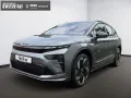 Skoda Enyaq RS *AHK*21 ZOLL*PANO*MAXX*