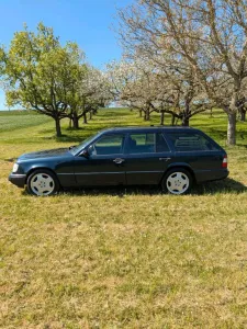 Mercedes-Benz Mercedes W 124 220 TE