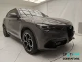 Alfa Romeo Stelvio 2023 2.2 t Veloce Q4 210cv au
