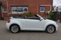 Volkswagen 1.4 TSI*DSG*Allstar*Design*BMT*Automatik*
