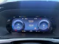 Ford Grand Tourneo 2.0 EcoBlue Titanium 7Sitzer Maxi