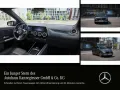 Mercedes-Benz EQA 250+*AHK-SCHWENKBAR*KAMERA*2024*71KWH*EASY-H