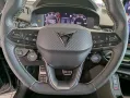 Cupra Terramar 1.5 eTSI Tribe Sennh Matrix HUD AHK 20