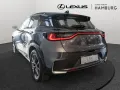 Lexus LBX Elegant Black Edition el. Heckklappe Sitz-/L