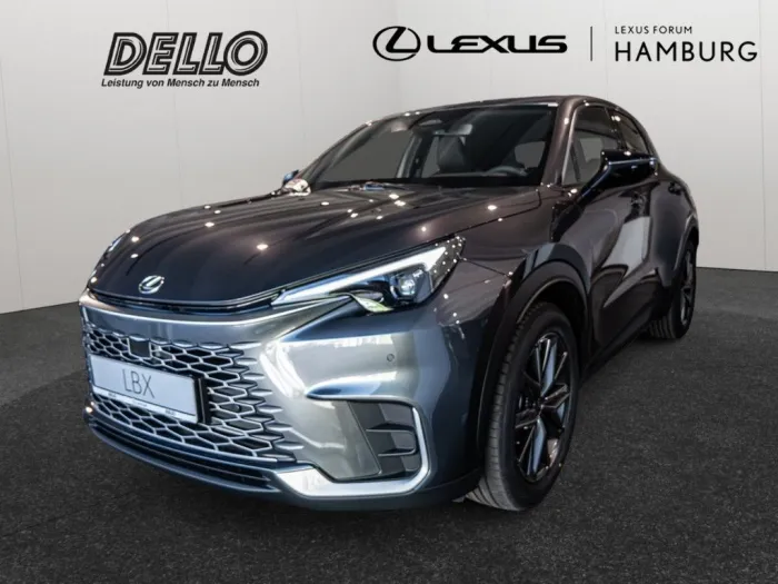 Lexus LBX Elegant Black Edition el. Heckklappe Sitz-/L