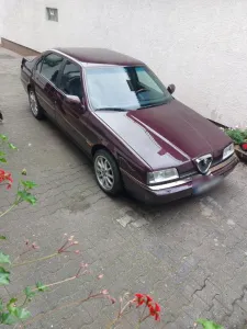 Alfa Romeo Alfa romeo 164 Super 3,0 L V6 180 PS B.J.96