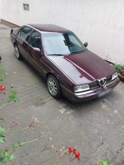Alfa Romeo Alfa romeo 164 Super 3,0 L V6 180 PS B.J.96
