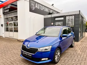 Skoda Fabia Clever 1.HAND+KLIMAAUTM+SHZ+DAB+APPLC+TEMP
