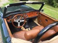 Triumph TR6