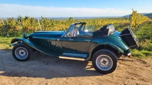 Other Oldtimer Cabrio Roadster Panther Kallista ...