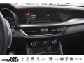Alfa Romeo Stelvio Competizione 2.2 Diesel Q4 PANO HARMAN-K