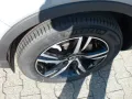 Volvo XC 40 B3 Plus Dark - Standheizung - 360°