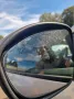 Dacia Jogger TCe 110 Comfort 7-Sitzer, NAVI, CAMERA