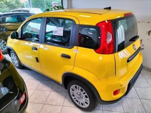Fiat Panda Pandina 1.0 65 CV Hybrid POP FINANZ.+