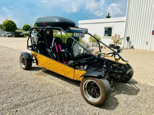 Other 2x Ness 4S Buggy 1.3 l Nissan 75PS Lof Zulassung