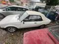 Ford Escort 1.6i Cabrio- Scheunenfund