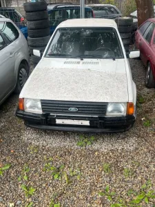 Ford Escort 1.6i Cabrio- Scheunenfund