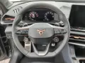Cupra TERRAMAR 2.0 TSI DSG 4DRIVE MATRIX-LED AHZV NAVI