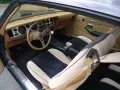 Pontiac Trans Am 6.6l Manual