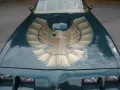 Pontiac Trans Am 6.6l Manual