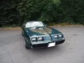 Pontiac Trans Am 6.6l Manual