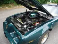 Pontiac Trans Am 6.6l Manual